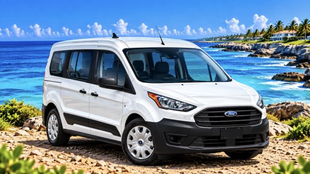 Ford Transit 5 plazas y apto para silla de ruedas